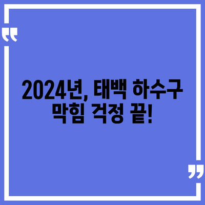 강원도 태백시 문곡소도동 하수구막힘 | 가격 | 비용 | 기름제거 | 싱크대 | 변기 | 세면대 | 역류 | 냄새차단 | 2024 후기