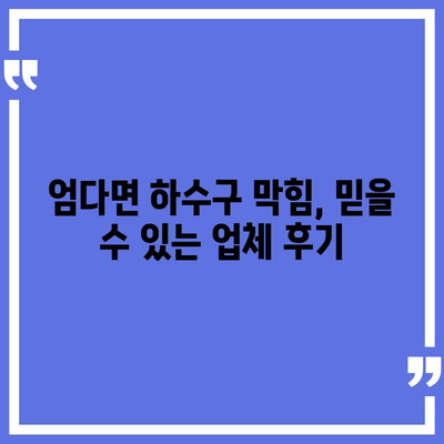 전라남도 함평군 엄다면 하수구막힘 | 가격 | 비용 | 기름제거 | 싱크대 | 변기 | 세면대 | 역류 | 냄새차단 | 2024 후기