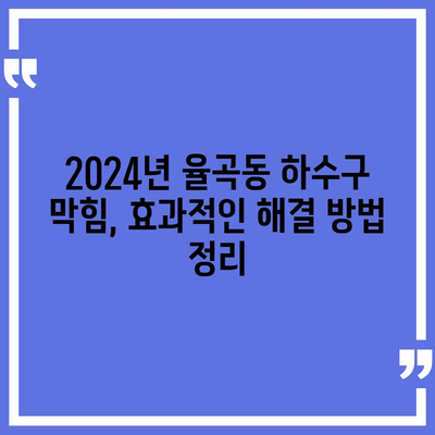 경상북도 김천시 율곡동 하수구막힘 | 가격 | 비용 | 기름제거 | 싱크대 | 변기 | 세면대 | 역류 | 냄새차단 | 2024 후기