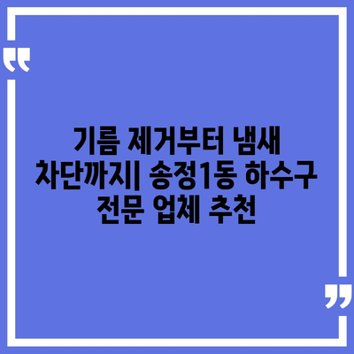 광주시 광산구 송정1동 하수구막힘 | 가격 | 비용 | 기름제거 | 싱크대 | 변기 | 세면대 | 역류 | 냄새차단 | 2024 후기