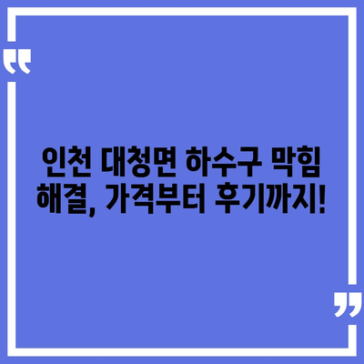 인천시 옹진군 대청면 하수구막힘 | 가격 | 비용 | 기름제거 | 싱크대 | 변기 | 세면대 | 역류 | 냄새차단 | 2024 후기