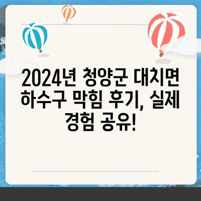 충청남도 청양군 대치면 하수구막힘 | 가격 | 비용 | 기름제거 | 싱크대 | 변기 | 세면대 | 역류 | 냄새차단 | 2024 후기