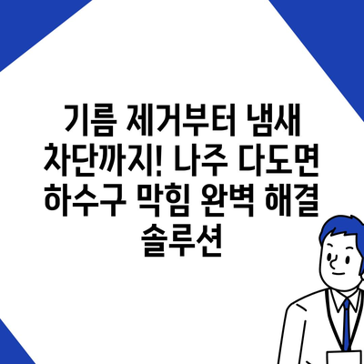 전라남도 나주시 다도면 하수구막힘 | 가격 | 비용 | 기름제거 | 싱크대 | 변기 | 세면대 | 역류 | 냄새차단 | 2024 후기