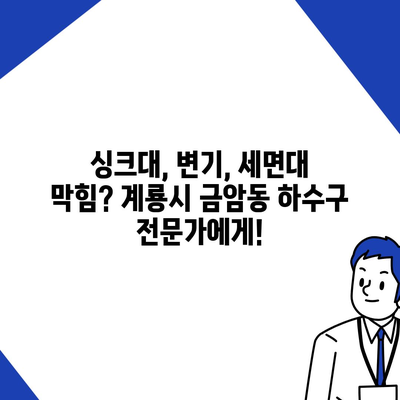 충청남도 계룡시 금암동 하수구막힘 | 가격 | 비용 | 기름제거 | 싱크대 | 변기 | 세면대 | 역류 | 냄새차단 | 2024 후기