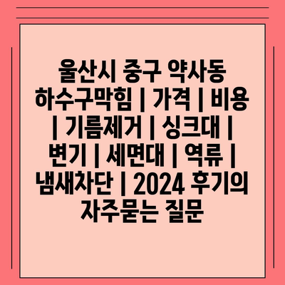 울산시 중구 약사동 하수구막힘 | 가격 | 비용 | 기름제거 | 싱크대 | 변기 | 세면대 | 역류 | 냄새차단 | 2024 후기