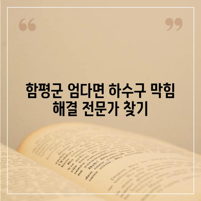 전라남도 함평군 엄다면 하수구막힘 | 가격 | 비용 | 기름제거 | 싱크대 | 변기 | 세면대 | 역류 | 냄새차단 | 2024 후기