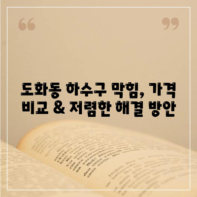 서울시 마포구 도화동 하수구막힘 | 가격 | 비용 | 기름제거 | 싱크대 | 변기 | 세면대 | 역류 | 냄새차단 | 2024 후기