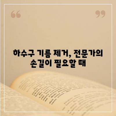 대전시 동구 판암1동 하수구막힘 | 가격 | 비용 | 기름제거 | 싱크대 | 변기 | 세면대 | 역류 | 냄새차단 | 2024 후기