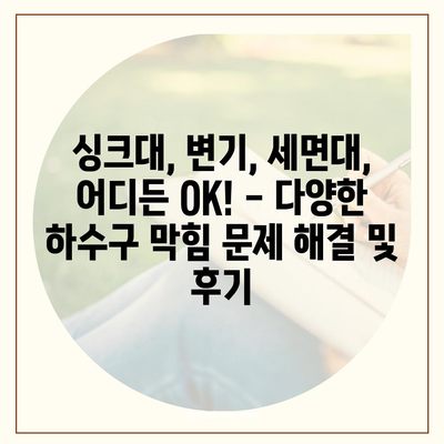 경상북도 안동시 예안면 하수구막힘 | 가격 | 비용 | 기름제거 | 싱크대 | 변기 | 세면대 | 역류 | 냄새차단 | 2024 후기