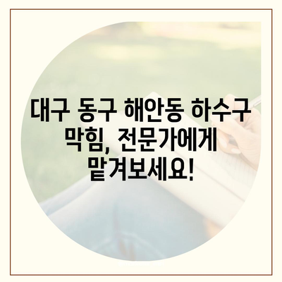 대구시 동구 해안동 하수구막힘 | 가격 | 비용 | 기름제거 | 싱크대 | 변기 | 세면대 | 역류 | 냄새차단 | 2024 후기