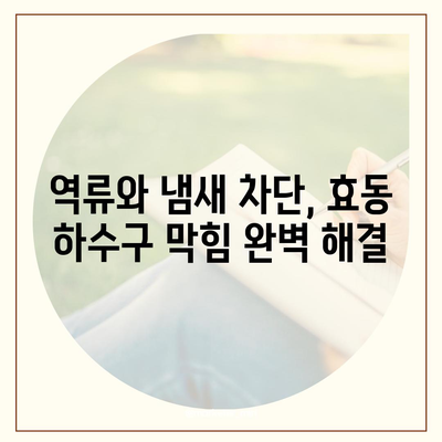 대전시 동구 효동 하수구막힘 | 가격 | 비용 | 기름제거 | 싱크대 | 변기 | 세면대 | 역류 | 냄새차단 | 2024 후기