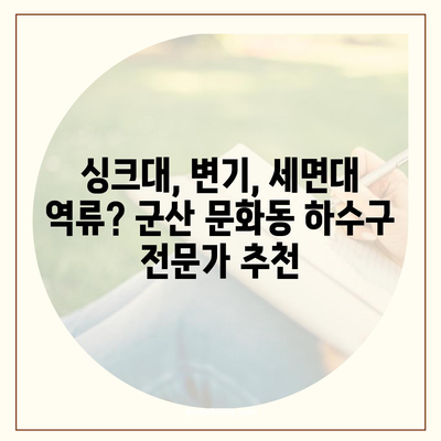 전라북도 군산시 문화동 하수구막힘 | 가격 | 비용 | 기름제거 | 싱크대 | 변기 | 세면대 | 역류 | 냄새차단 | 2024 후기