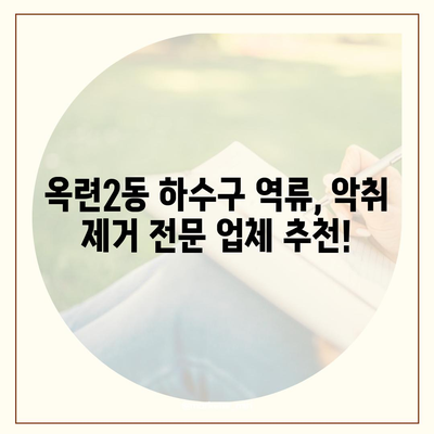 인천시 연수구 옥련2동 하수구막힘 | 가격 | 비용 | 기름제거 | 싱크대 | 변기 | 세면대 | 역류 | 냄새차단 | 2024 후기