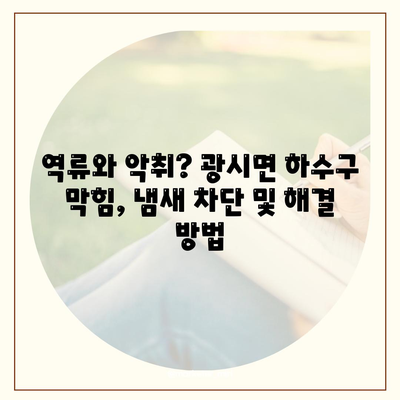 충청남도 예산군 광시면 하수구막힘 | 가격 | 비용 | 기름제거 | 싱크대 | 변기 | 세면대 | 역류 | 냄새차단 | 2024 후기