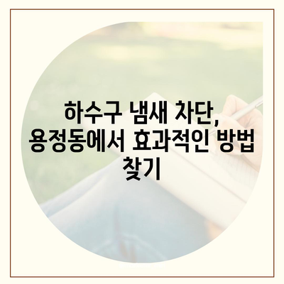 충청북도 청주시 상당구 용정동 하수구막힘 | 가격 | 비용 | 기름제거 | 싱크대 | 변기 | 세면대 | 역류 | 냄새차단 | 2024 후기