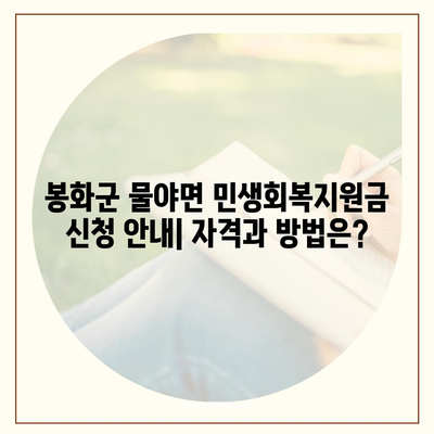 경상북도 봉화군 물야면 민생회복지원금 | 신청 | 신청방법 | 대상 | 지급일 | 사용처 | 전국민 | 이재명 | 2024