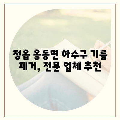 전라북도 정읍시 옹동면 하수구막힘 | 가격 | 비용 | 기름제거 | 싱크대 | 변기 | 세면대 | 역류 | 냄새차단 | 2024 후기