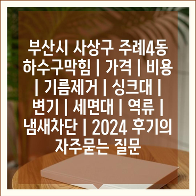 부산시 사상구 주례4동 하수구막힘 | 가격 | 비용 | 기름제거 | 싱크대 | 변기 | 세면대 | 역류 | 냄새차단 | 2024 후기