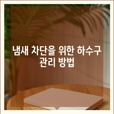 제주도 서귀포시 대천동 하수구막힘 | 가격 | 비용 | 기름제거 | 싱크대 | 변기 | 세면대 | 역류 | 냄새차단 | 2024 후기