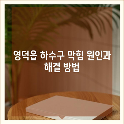 경상북도 영덕군 영덕읍 하수구막힘 | 가격 | 비용 | 기름제거 | 싱크대 | 변기 | 세면대 | 역류 | 냄새차단 | 2024 후기