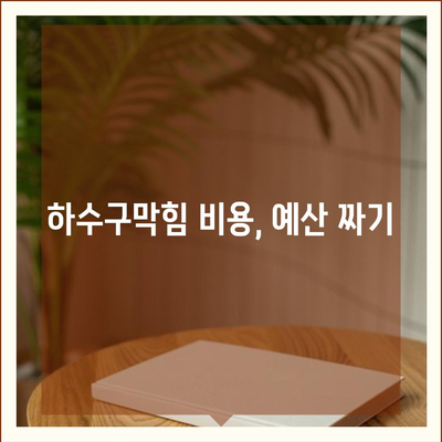 전라북도 부안군 동진면 하수구막힘 | 가격 | 비용 | 기름제거 | 싱크대 | 변기 | 세면대 | 역류 | 냄새차단 | 2024 후기