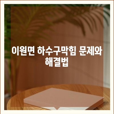 충청북도 옥천군 이원면 하수구막힘 | 가격 | 비용 | 기름제거 | 싱크대 | 변기 | 세면대 | 역류 | 냄새차단 | 2024 후기