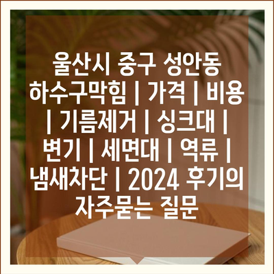 울산시 중구 성안동 하수구막힘 | 가격 | 비용 | 기름제거 | 싱크대 | 변기 | 세면대 | 역류 | 냄새차단 | 2024 후기