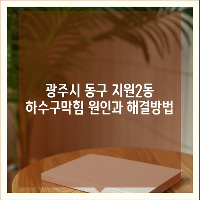 광주시 동구 지원2동 하수구막힘 | 가격 | 비용 | 기름제거 | 싱크대 | 변기 | 세면대 | 역류 | 냄새차단 | 2024 후기