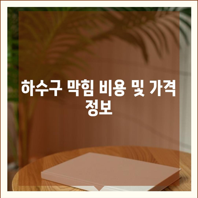 대전시 서구 가수원동 하수구막힘 | 가격 | 비용 | 기름제거 | 싱크대 | 변기 | 세면대 | 역류 | 냄새차단 | 2024 후기