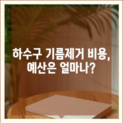 인천시 중구 운서동 하수구막힘 | 가격 | 비용 | 기름제거 | 싱크대 | 변기 | 세면대 | 역류 | 냄새차단 | 2024 후기