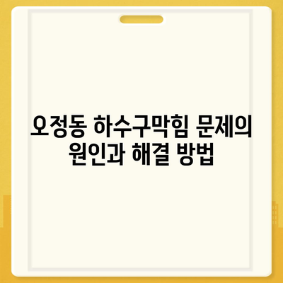 대전시 대덕구 오정동 하수구막힘 | 가격 | 비용 | 기름제거 | 싱크대 | 변기 | 세면대 | 역류 | 냄새차단 | 2024 후기