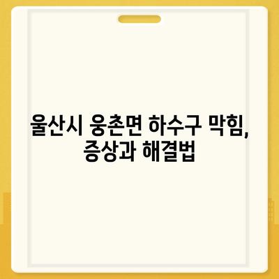 울산시 울주군 웅촌면 하수구막힘 | 가격 | 비용 | 기름제거 | 싱크대 | 변기 | 세면대 | 역류 | 냄새차단 | 2024 후기