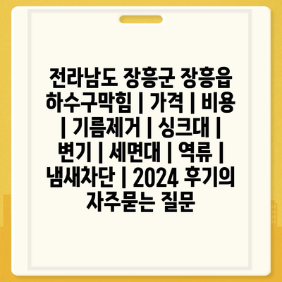 전라남도 장흥군 장흥읍 하수구막힘 | 가격 | 비용 | 기름제거 | 싱크대 | 변기 | 세면대 | 역류 | 냄새차단 | 2024 후기