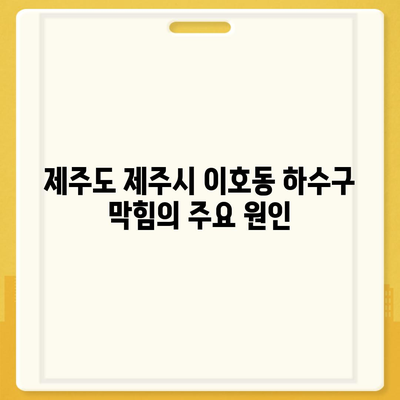 제주도 제주시 이호동 하수구막힘 | 가격 | 비용 | 기름제거 | 싱크대 | 변기 | 세면대 | 역류 | 냄새차단 | 2024 후기