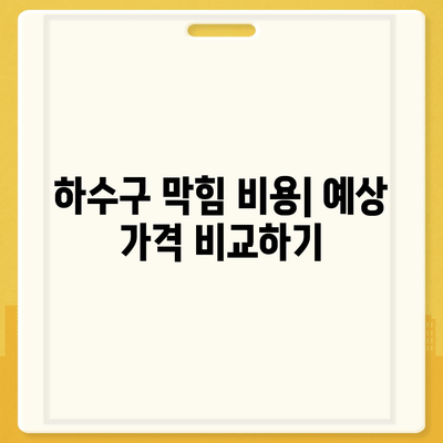 충청남도 당진시 고대면 하수구막힘 | 가격 | 비용 | 기름제거 | 싱크대 | 변기 | 세면대 | 역류 | 냄새차단 | 2024 후기