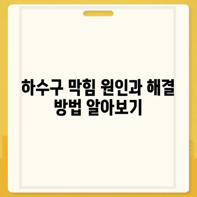 전라남도 곡성군 곡성읍 하수구막힘 | 가격 | 비용 | 기름제거 | 싱크대 | 변기 | 세면대 | 역류 | 냄새차단 | 2024 후기