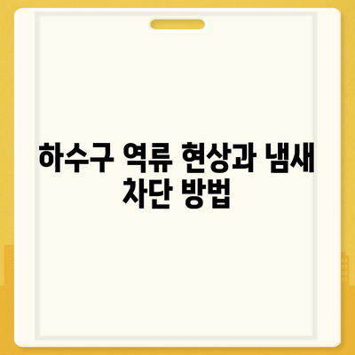 경기도 남양주시 금곡동 하수구막힘 | 가격 | 비용 | 기름제거 | 싱크대 | 변기 | 세면대 | 역류 | 냄새차단 | 2024 후기