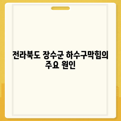 전라북도 장수군 장수읍 하수구막힘 | 가격 | 비용 | 기름제거 | 싱크대 | 변기 | 세면대 | 역류 | 냄새차단 | 2024 후기