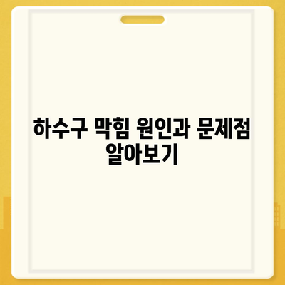 경상북도 성주군 벽진면 하수구막힘 | 가격 | 비용 | 기름제거 | 싱크대 | 변기 | 세면대 | 역류 | 냄새차단 | 2024 후기