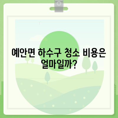 경상북도 안동시 예안면 하수구막힘 | 가격 | 비용 | 기름제거 | 싱크대 | 변기 | 세면대 | 역류 | 냄새차단 | 2024 후기