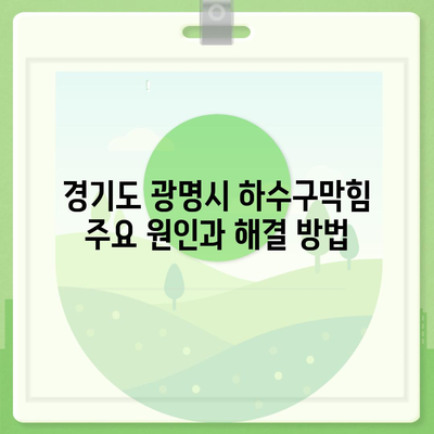 경기도 광명시 광명2동 하수구막힘 | 가격 | 비용 | 기름제거 | 싱크대 | 변기 | 세면대 | 역류 | 냄새차단 | 2024 후기