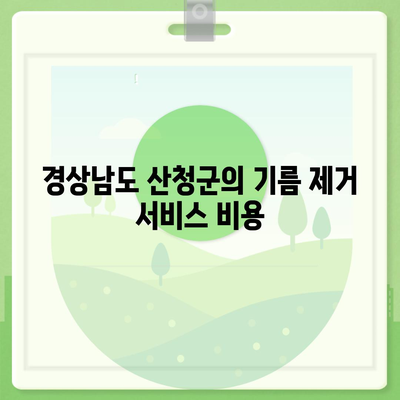 경상남도 산청군 오부면 하수구막힘 | 가격 | 비용 | 기름제거 | 싱크대 | 변기 | 세면대 | 역류 | 냄새차단 | 2024 후기