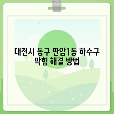 대전시 동구 판암1동 하수구막힘 | 가격 | 비용 | 기름제거 | 싱크대 | 변기 | 세면대 | 역류 | 냄새차단 | 2024 후기