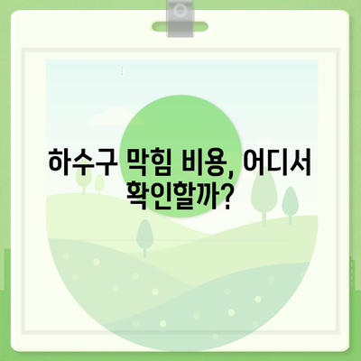 서울시 금천구 시흥제1동 하수구막힘 | 가격 | 비용 | 기름제거 | 싱크대 | 변기 | 세면대 | 역류 | 냄새차단 | 2024 후기