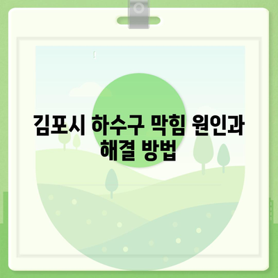 경기도 김포시 북변동 하수구막힘 | 가격 | 비용 | 기름제거 | 싱크대 | 변기 | 세면대 | 역류 | 냄새차단 | 2024 후기