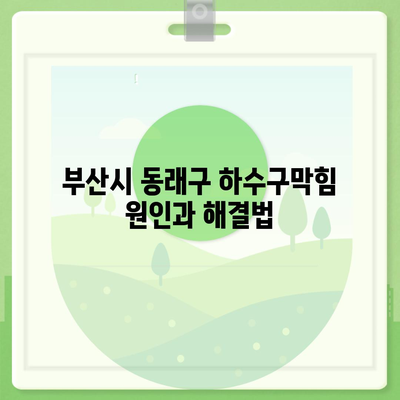 부산시 동래구 사직3동 하수구막힘 | 가격 | 비용 | 기름제거 | 싱크대 | 변기 | 세면대 | 역류 | 냄새차단 | 2024 후기