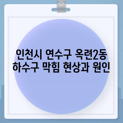 인천시 연수구 옥련2동 하수구막힘 | 가격 | 비용 | 기름제거 | 싱크대 | 변기 | 세면대 | 역류 | 냄새차단 | 2024 후기