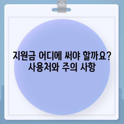 충청북도 음성군 음성읍 민생회복지원금 | 신청 | 신청방법 | 대상 | 지급일 | 사용처 | 전국민 | 이재명 | 2024