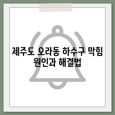 제주도 제주시 오라동 하수구막힘 | 가격 | 비용 | 기름제거 | 싱크대 | 변기 | 세면대 | 역류 | 냄새차단 | 2024 후기