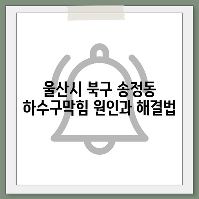 울산시 북구 송정동 하수구막힘 | 가격 | 비용 | 기름제거 | 싱크대 | 변기 | 세면대 | 역류 | 냄새차단 | 2024 후기